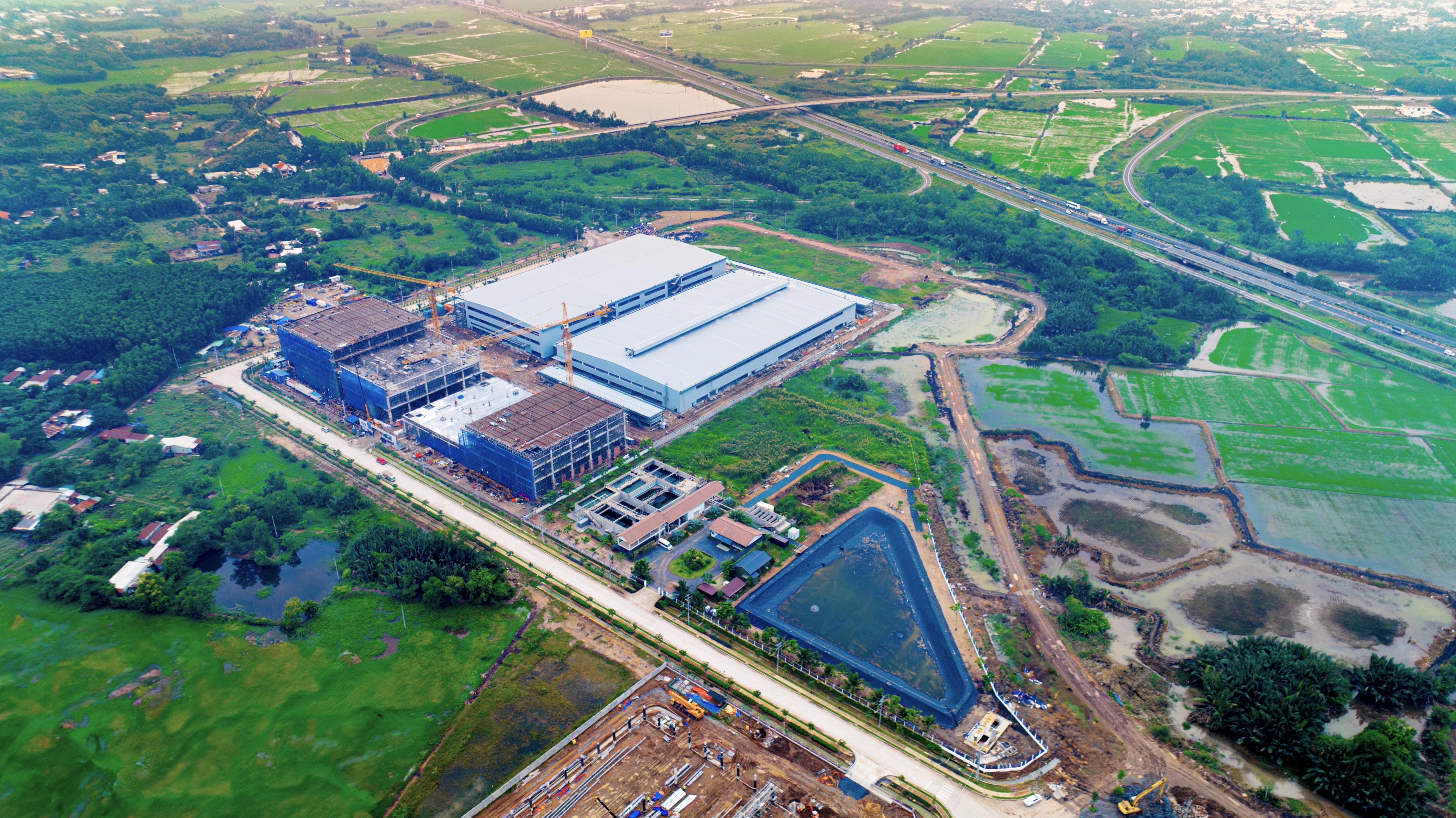 ロンタン_トップ